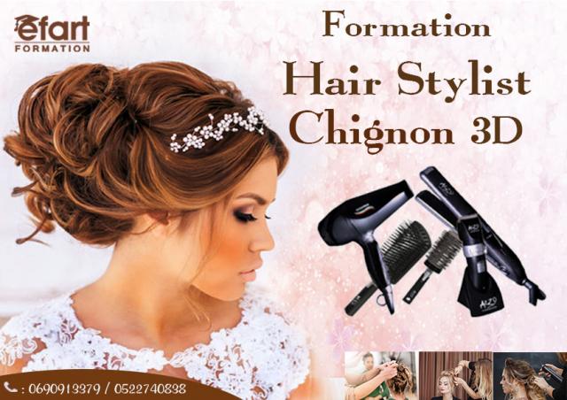 Formation Hair Stylist Chignon 3D